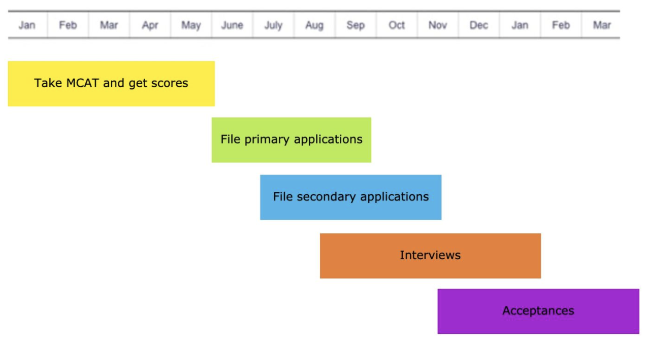 Cc medical school admissions timeline